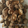 Cogumelos shiitake secos de qualidade